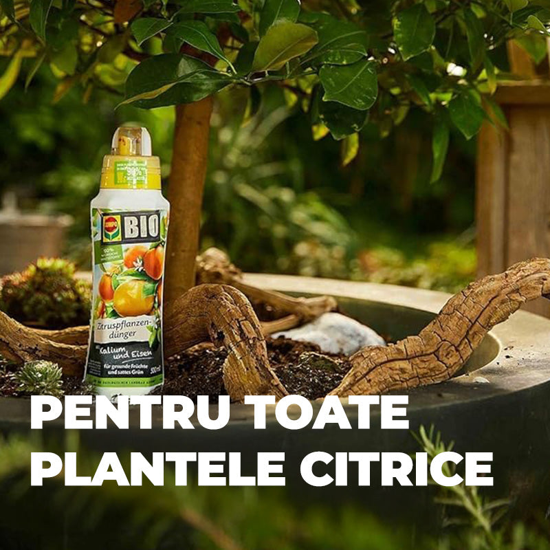 Ingrasamant Organic Lichid pentru Plante Citrice 500 ml, COMPO