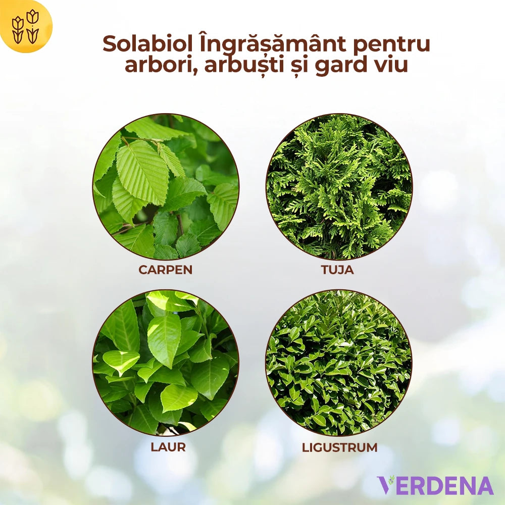 Ingrasamant pentru Arbori, Arbusti si Garduri Vii, 1.5 kg, cu Stimulator de Radacini si Efect Imediat si de Lunga Durata, SOLABIOL