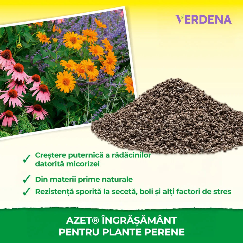 Ingrasamant organic plante perene NEUDORFF Azet 1 kg, cu Mykorrhiza, eliberare nutrienti 100 zile