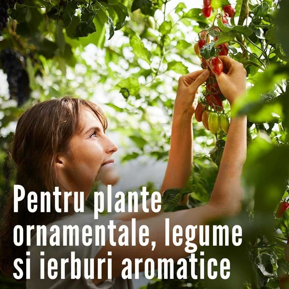 Spray insecticid COMPO Anti-daunatori Plus AF pentru plante ornamentale, legume si fructe, gata de utilizare, 500 ml