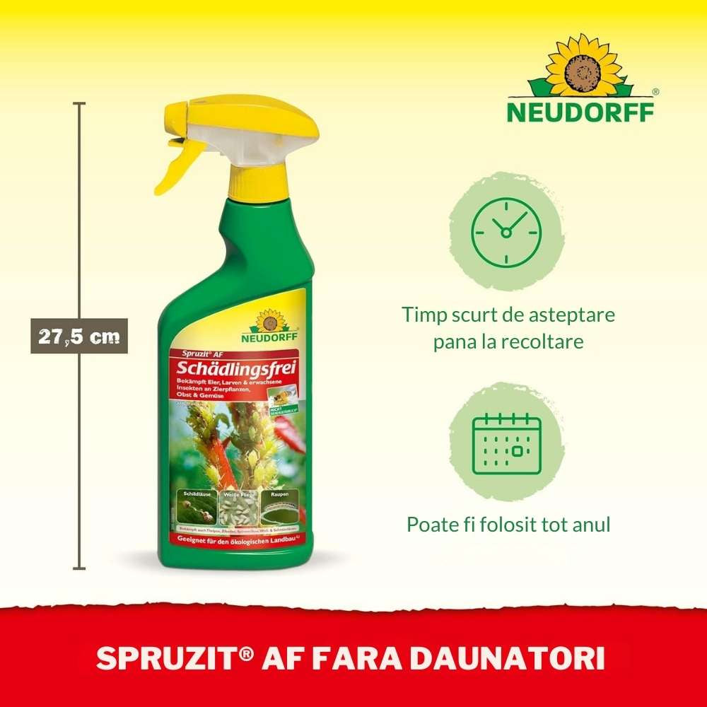 Insecticid Spray Anti-daunatori Universal Neudorff Spruzit AF, afide, omizi, tripsi, molie buxus, Neudorff - 250 ml