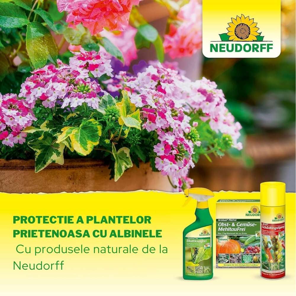 Insecticid Spray Anti-daunatori Universal Neudorff Spruzit AF, afide, omizi, tripsi, molie buxus, Neudorff - 250 ml