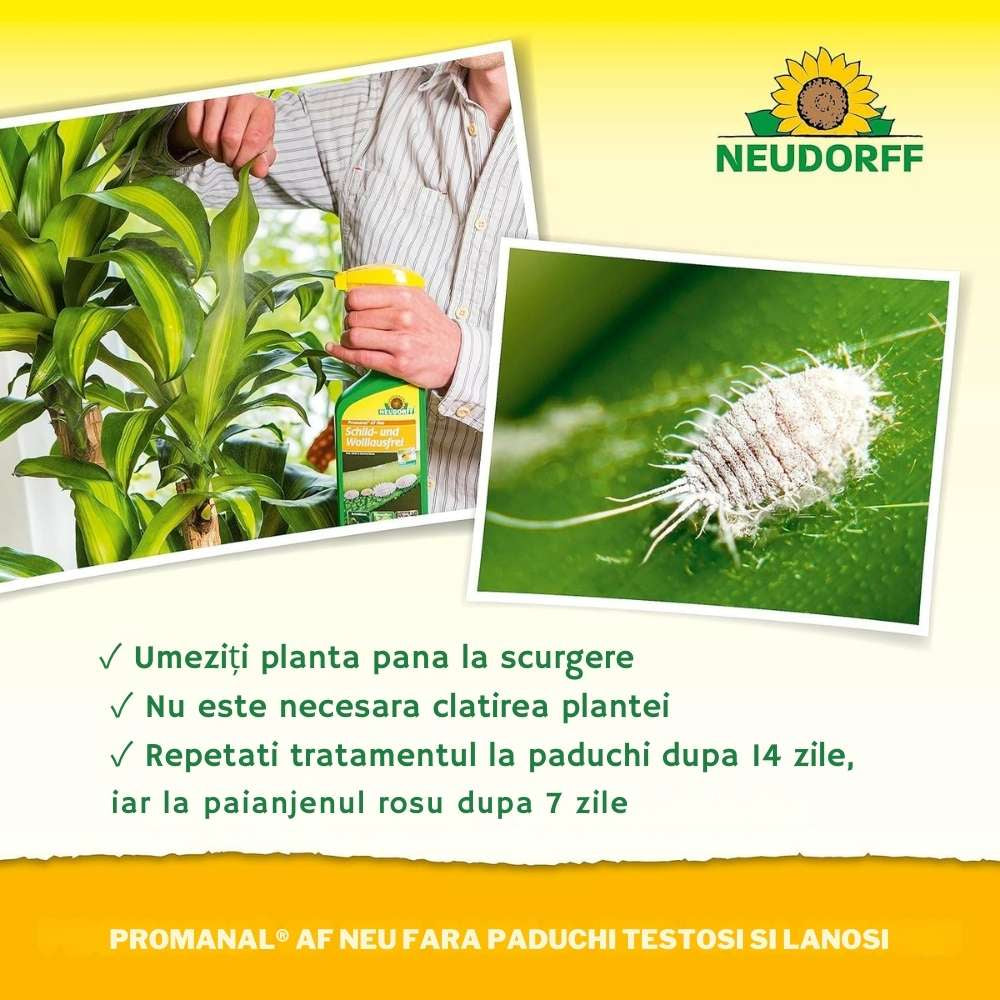 Insecticid Spray Anti-daunatori Universal Neudorff Spruzit AF, afide, omizi, tripsi, molie buxus, Neudorff - 250 ml