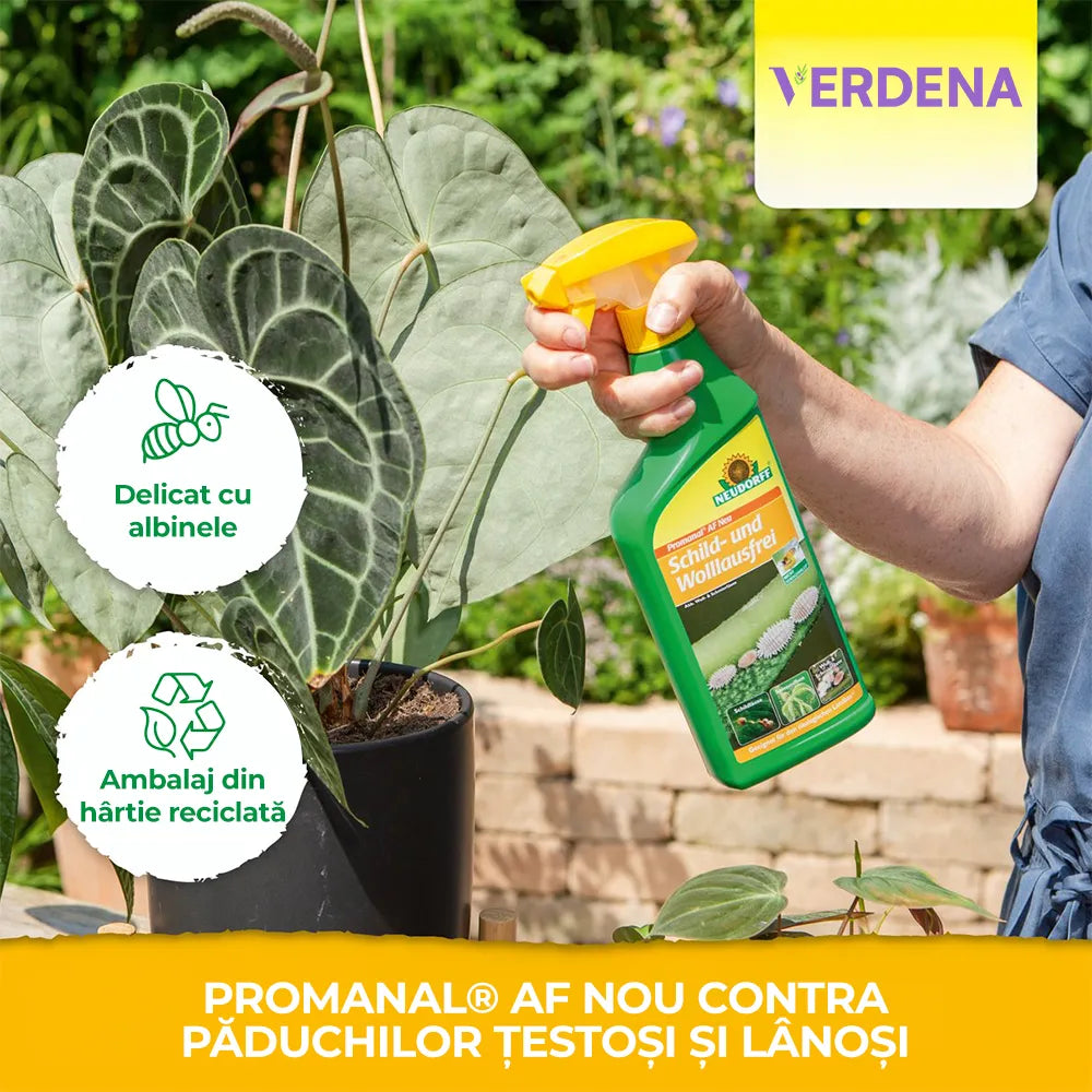 Insecticid contra Paduchiilor Testoase si Lanoase, 500 ml, Neudorff