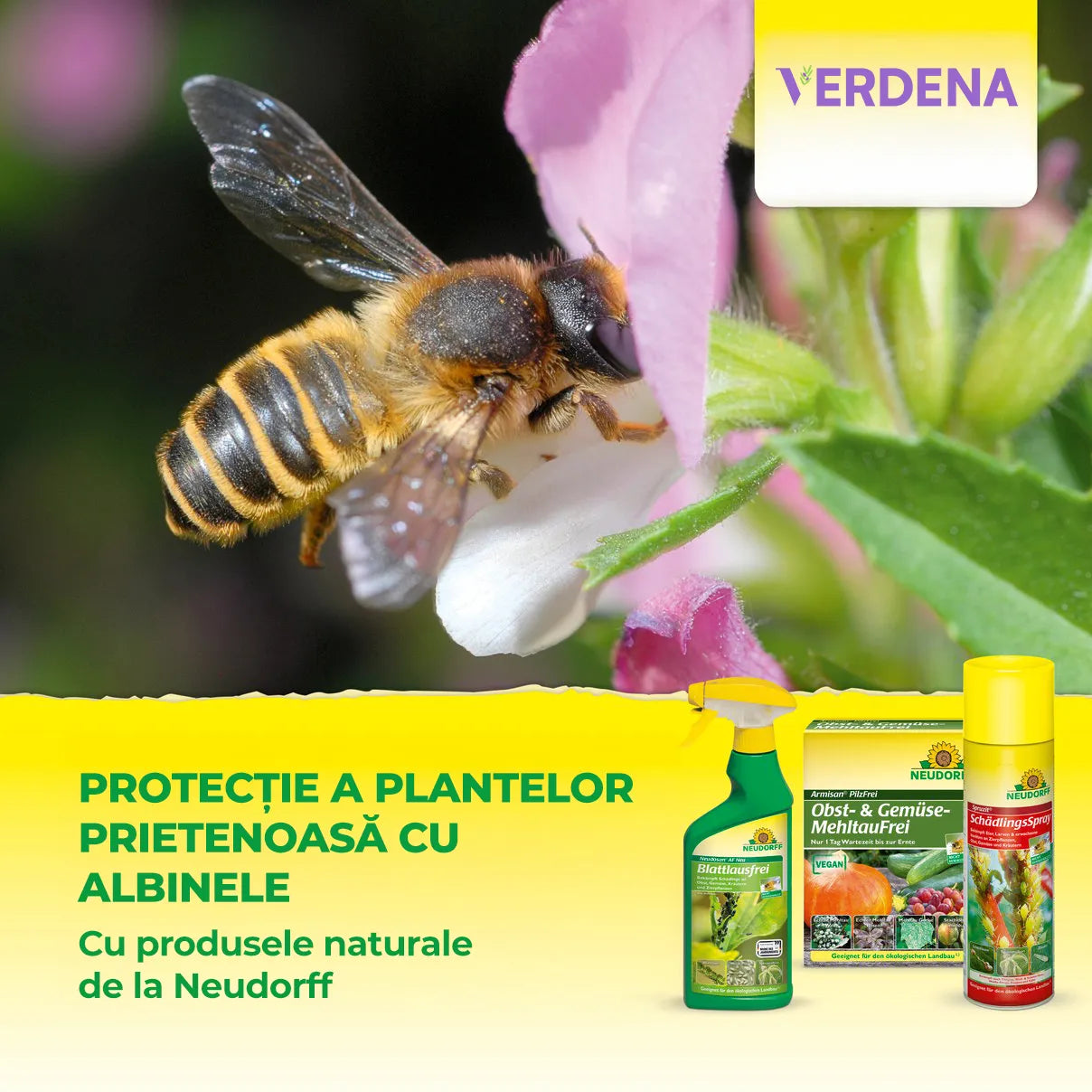 Insecticid pentru Plante Ornamentale, 450 ml, Neudorff