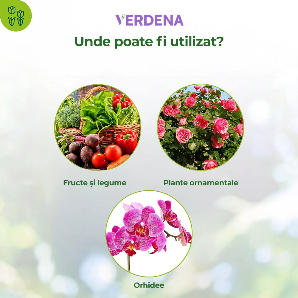 Insecticid pentru Plante Ornamentale si de Interior, 500 ml, PROTECT GARDEN