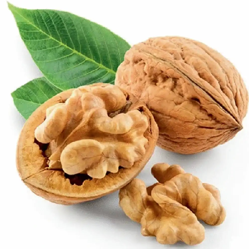 Nuc Regia Howard (Juglans Regia), cu gust dulce-untos, an 2 pe rod