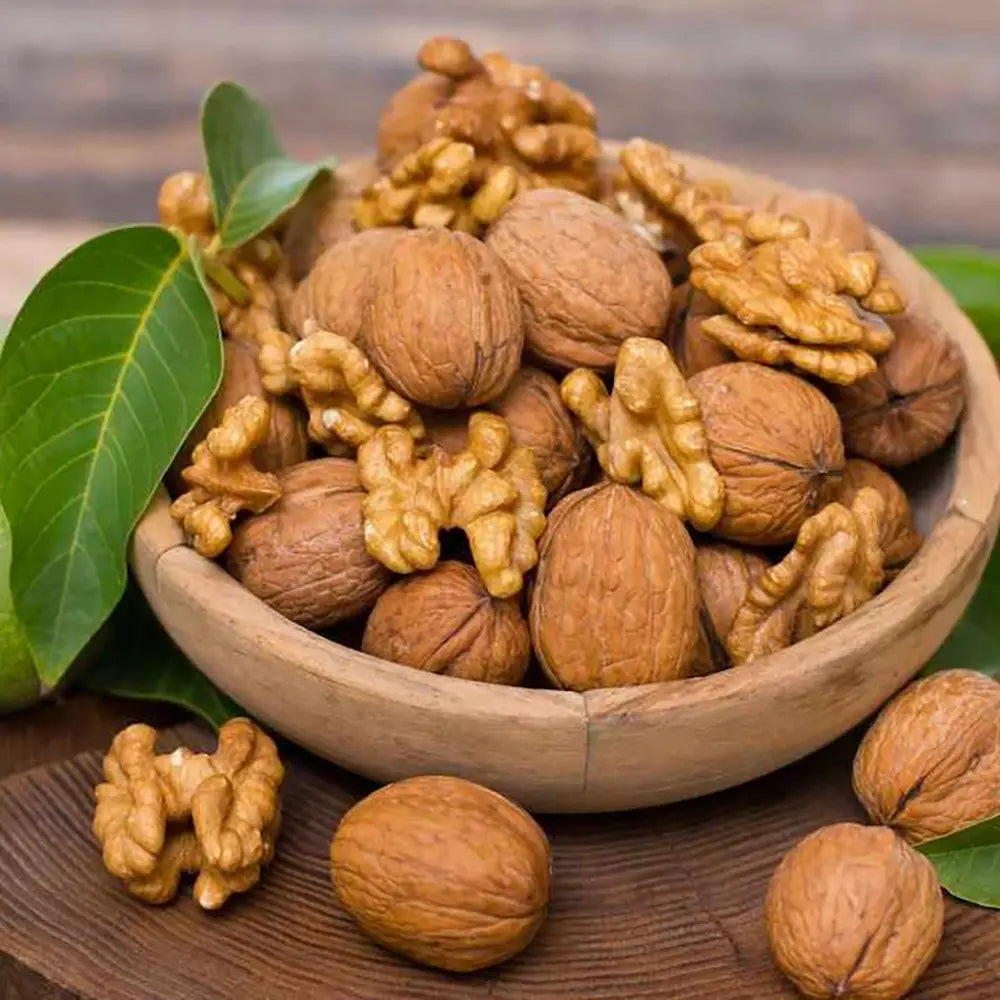 Nuc Regia Di Sorrento (Juglans Regia), cu gust dulce-cremos, 2 pe rod