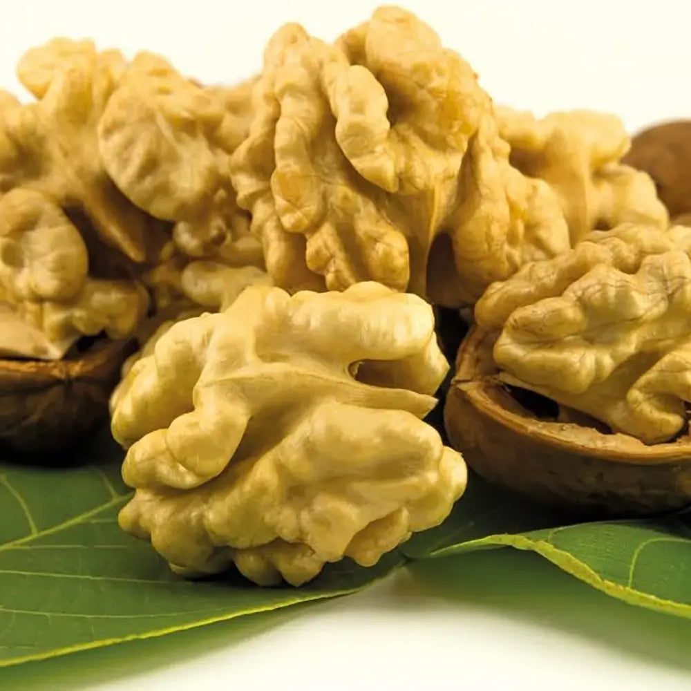 Nuc Regia Di Sorrento (Juglans Regia), cu gust dulce-cremos, 2 pe rod