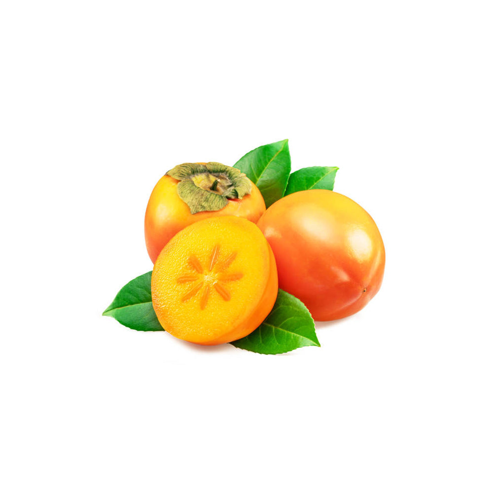 Kaki Jiro Zolla (Diospyrus), autofertil, fructe dulci galben-portocalii, rezistent la frig, an 2 pe rod