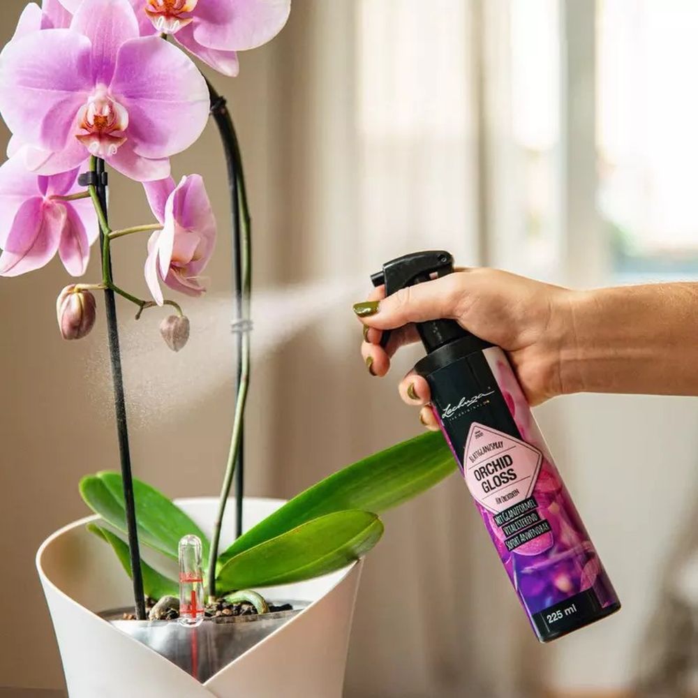 Spray Luciu Frunze pentru Orhidee Lechuza ORCHID GLOSS 225 ml, protectie impotriva prafului