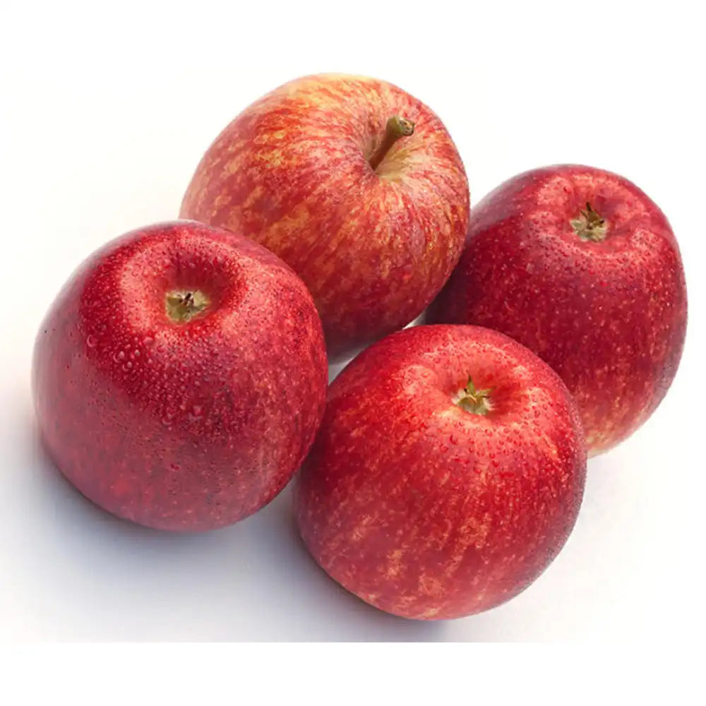 Mar (Malus) Sterappel, cu fructe rosii dulci-acrisor, an 3 pe rod