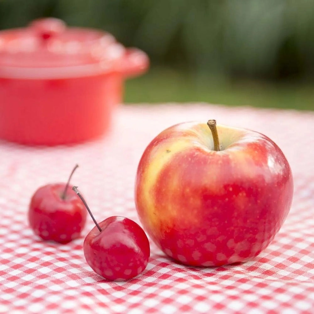 Mar Columnar Appletini, cu fructe mari rosii si dulci, an 3 pe rod