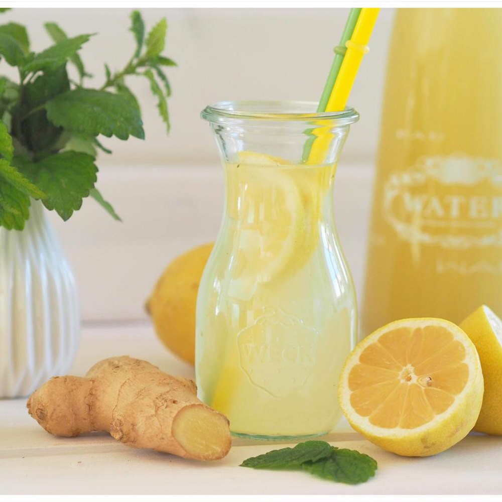 Menta cu aroma de ghimbir (Mentha gracilis Ginger), planta aromatica, perena pentru ceaiuri si gradina