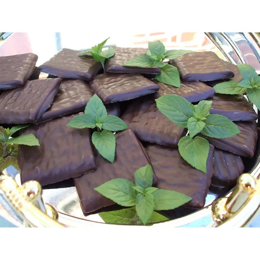 Menta ciocolatie (Mentha piperita Chocolate), planta aromatica perena pentru ceaiuri si deserturi