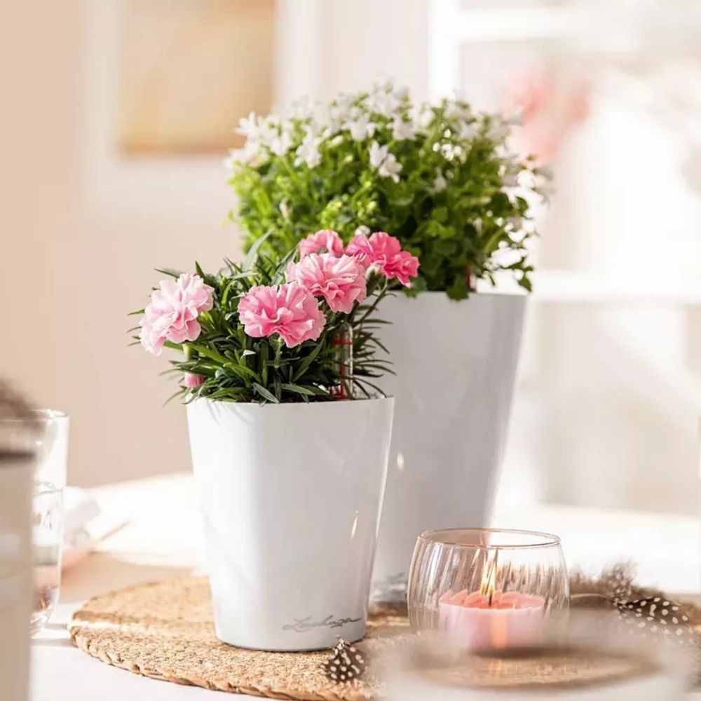 Ghiveci Auto-Irigant Lechuza Mini Deltini 0,4 l, alb lucios, sistem de autoirigare, insert detasabil, strat de drenaj