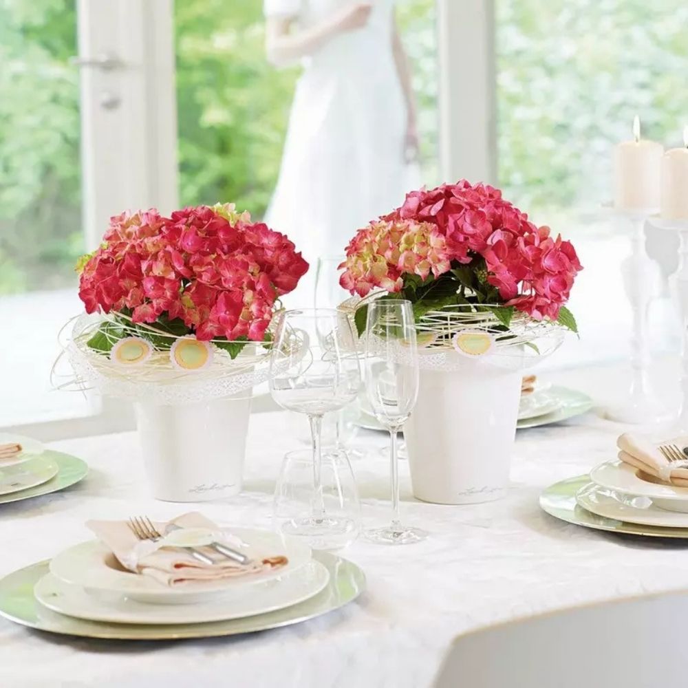 Ghiveci Auto-Irigant Lechuza Mini Deltini 0,4 l, alb lucios, sistem de autoirigare, insert detasabil, strat de drenaj