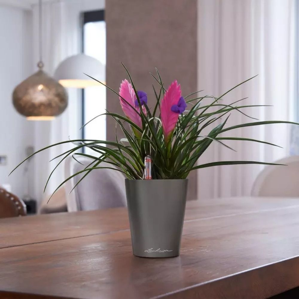 Ghiveci Auto-Irigant Lechuza Mini Deltini 0,4 l, gri mat, sistem de autoirigare, insert detasabil, strat de drenaj