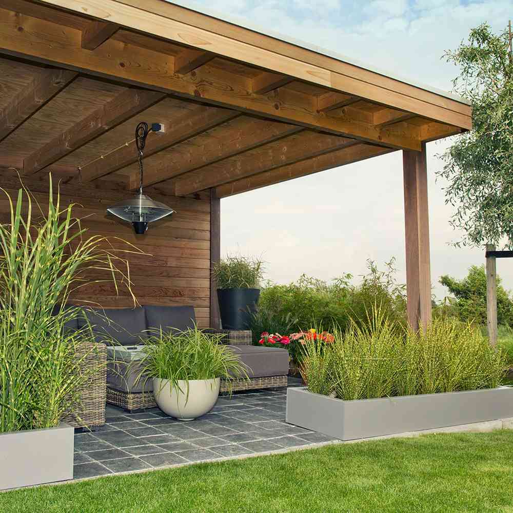 Iarba Elefantului (Miscanthus Sinensis) Golden Breeze, iarba ornamentala cu frunzis auriu si spice elegante, crestere rapida