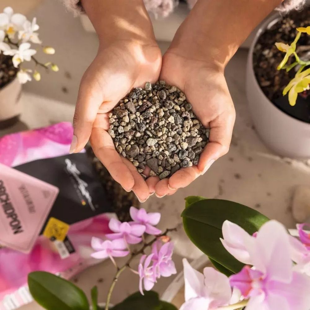 Substrat Mineral LECHUZA Orchidpon 3 l, pentru orhidee, 100% fara turba, cu ingrediente naturale