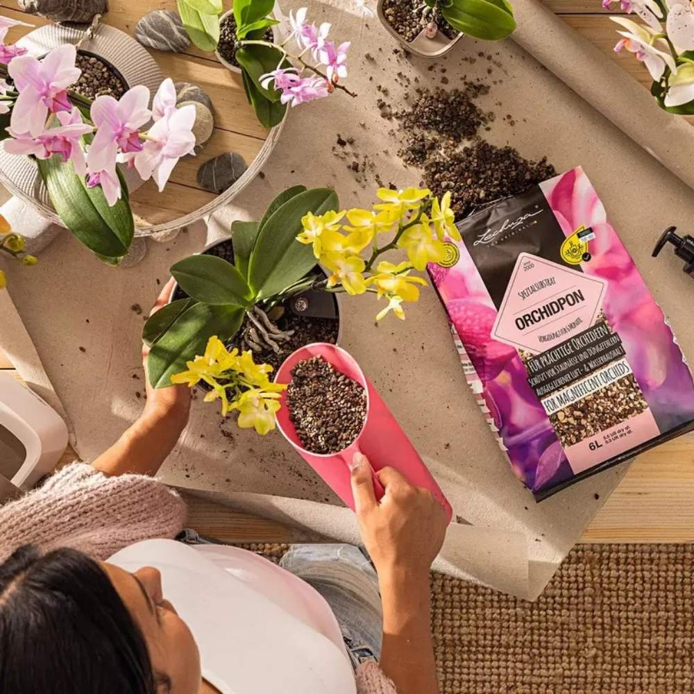 Substrat Mineral LECHUZA Orchidpon 3 l, pentru orhidee, 100% fara turba, cu ingrediente naturale