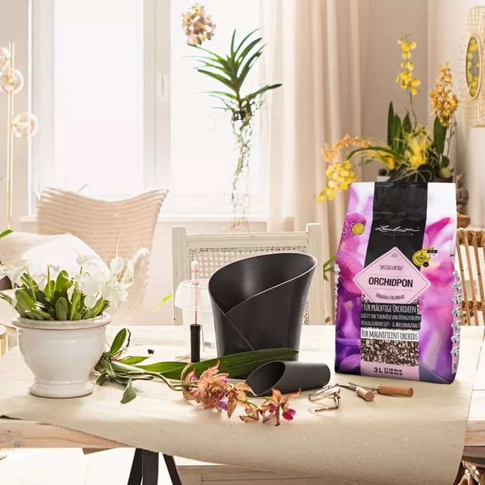 Substrat Mineral LECHUZA Orchidpon 3 l, pentru orhidee, 100% fara turba, cu ingrediente naturale