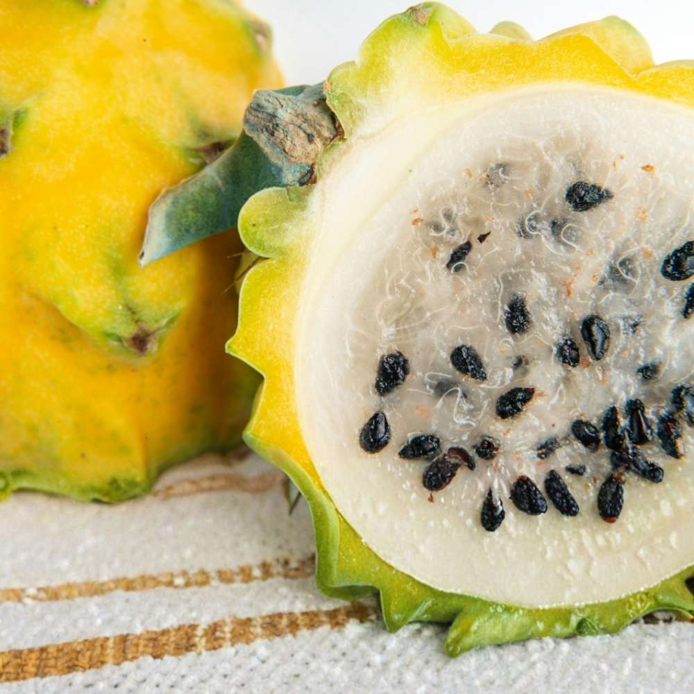 Fructul Pitaya galbena (Selenicereus megalanthus), cactus exotic cu fructe galbene foarte dulci, pulpa alba