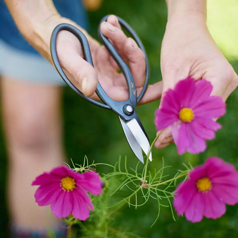 Foarfeca Bonsai Japonez din Otel Ascutit HappySeed, Ideal pentru Muguri, Frunze si Ramuri, Mica