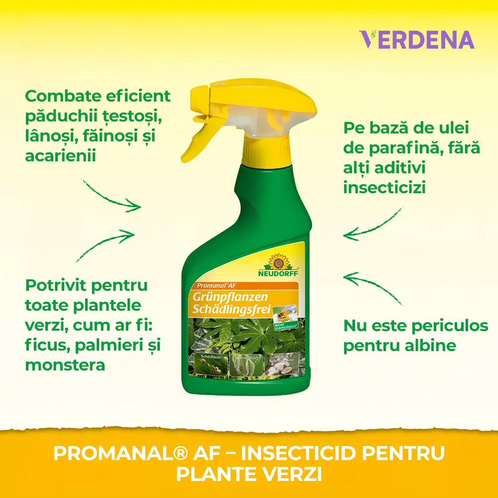 Insecticid pentru Plante Verzi, 250 ml, Neudorff