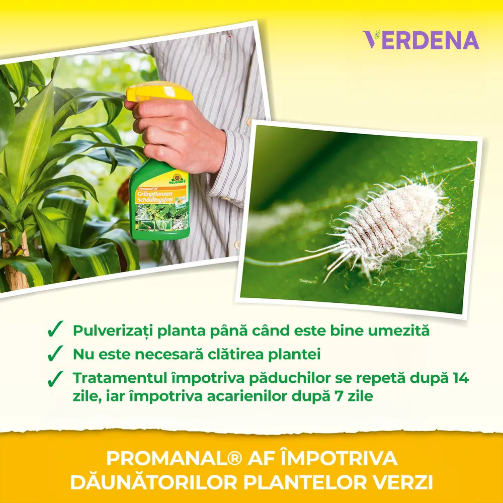 Insecticid pentru Plante Verzi, 250 ml, Neudorff