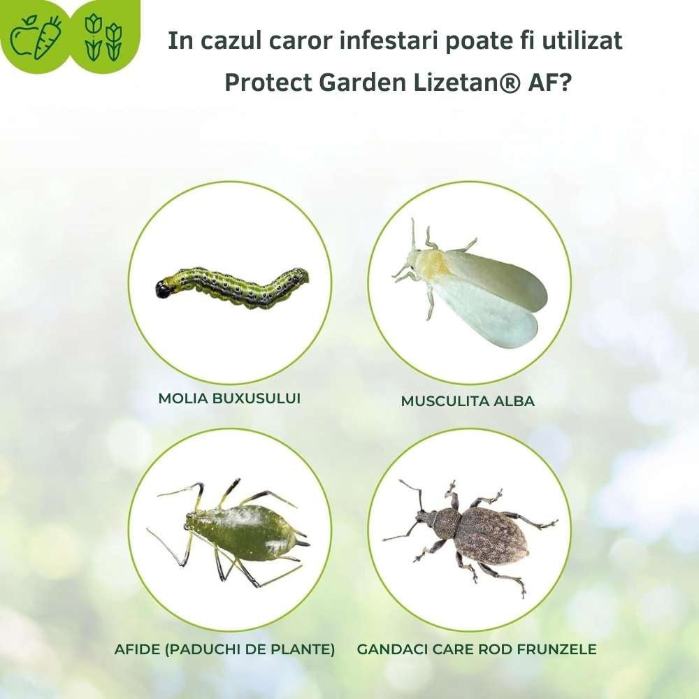 Insecticid Spray cu Efect Rapid contra Omizilor de Buxus 1 l PROTECT GARDEN