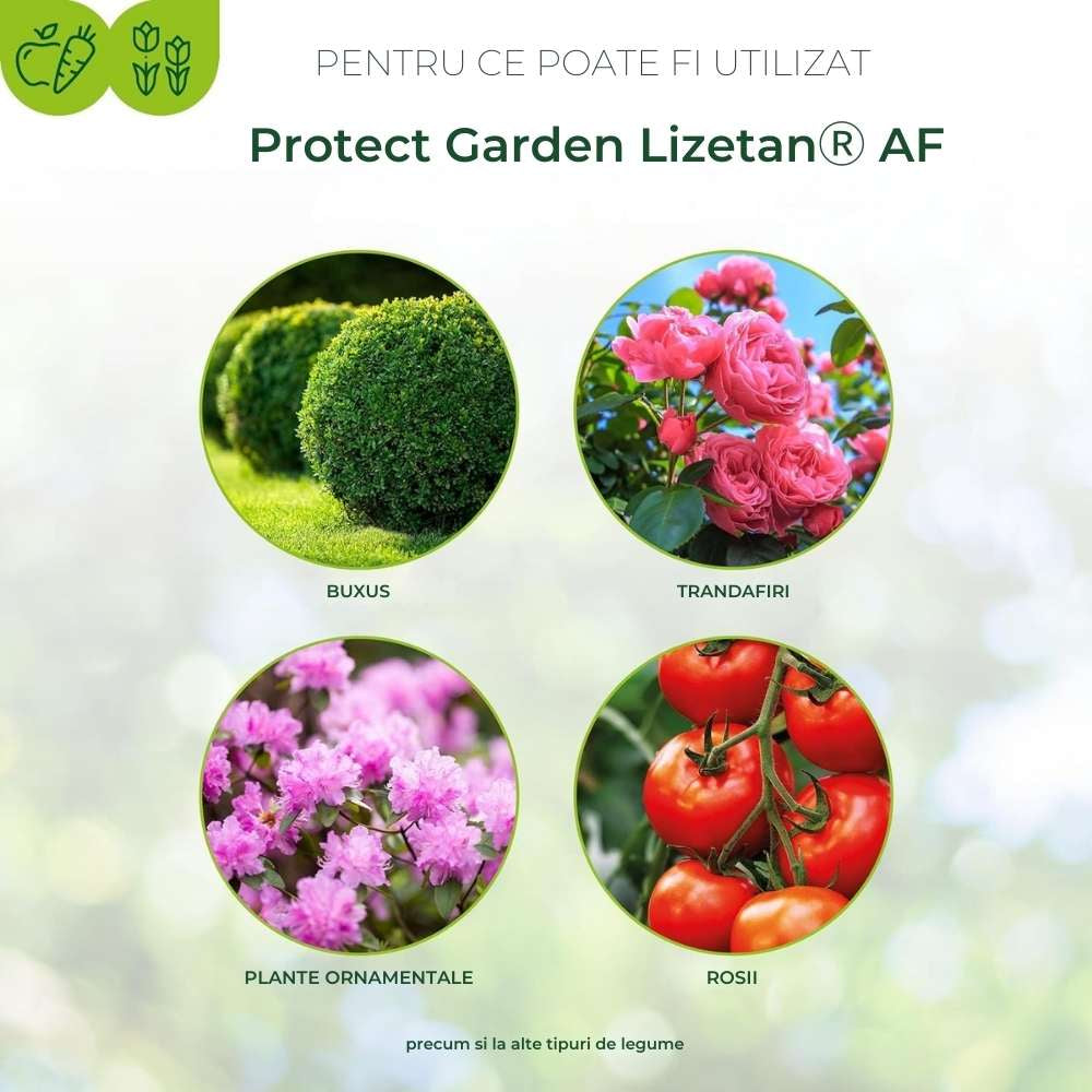 Insecticid Spray cu Efect Rapid contra Omizilor de Buxus 1 l PROTECT GARDEN