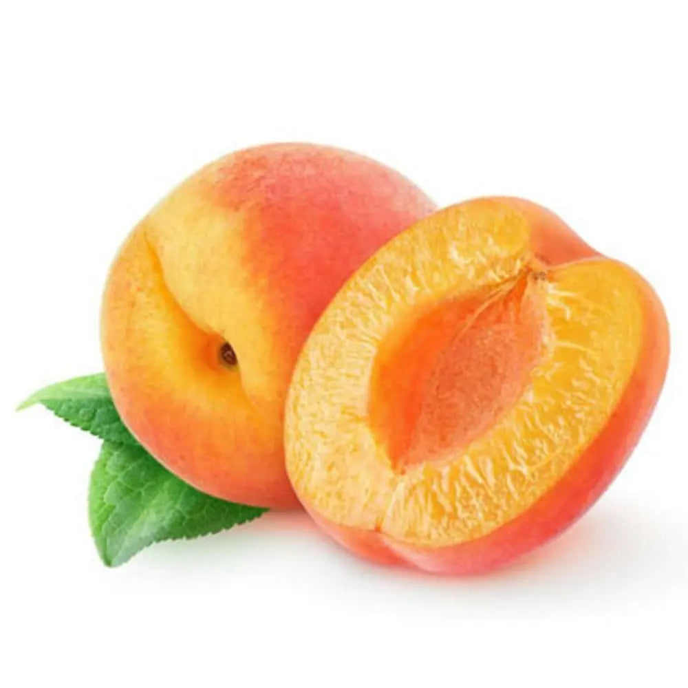 Cais (Prunus armeniaca) Bergeorn, cu fructe dulci galbene-aurii, an 2 pe rod