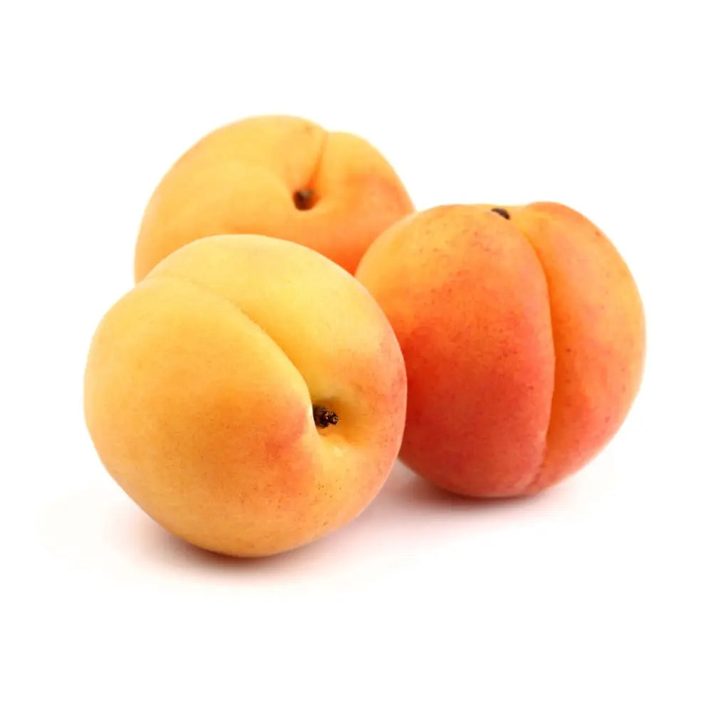 Cais (Prunus armeniaca) Paviot, cu fructe dulci portocalii deschis, an 2 pe rod