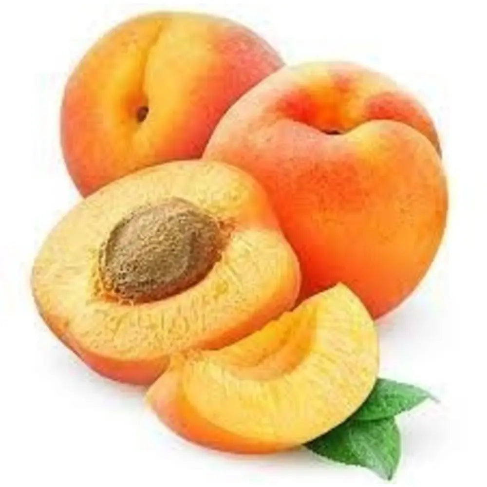 Cais (Prunus armeniaca) Pisana, cu fructe dulci portocalii, an 2 pe rod