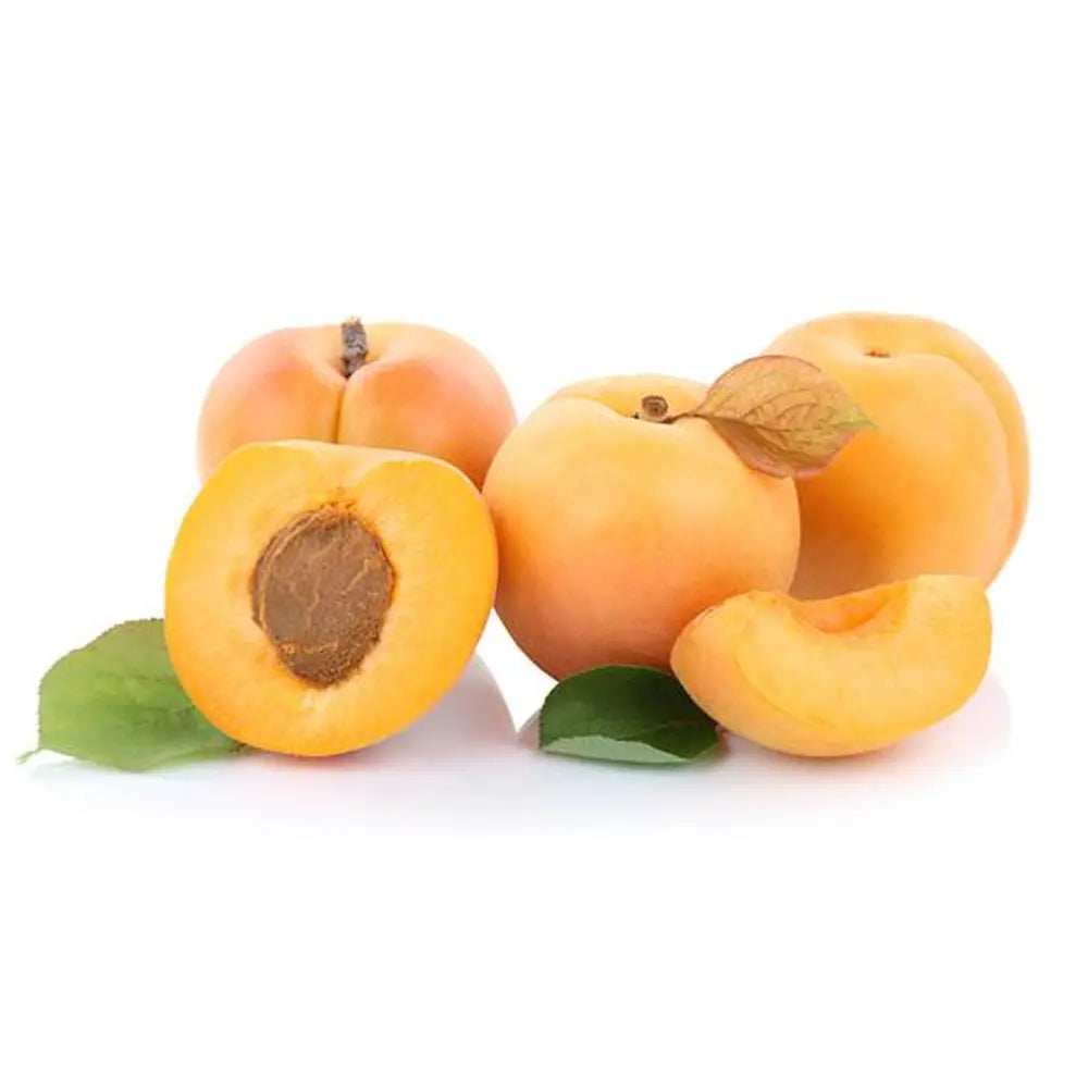 Cais (Prunus armeniaca) Vitillo, cu fructe dulci portocalii, an 2 pe rod