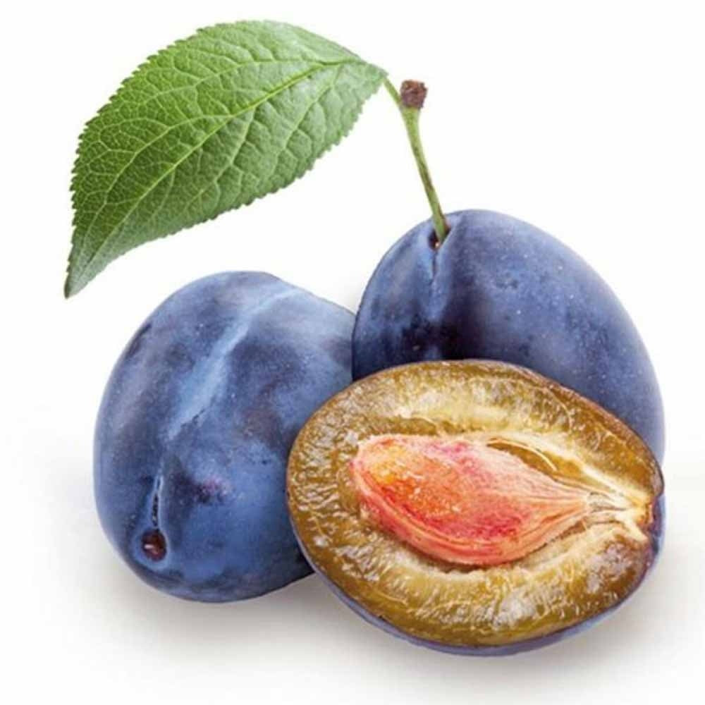 Prun Hauszwetsche (Prunus Domestica), cu fructe dulci, albastre-violet