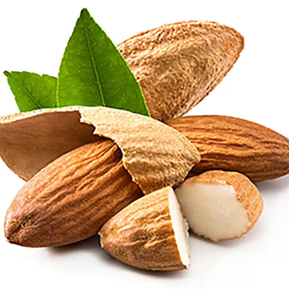 Copacel Migdal Dulcis (Prunus amygdalus), cu migdale dulci crocante, an 2 pe rod