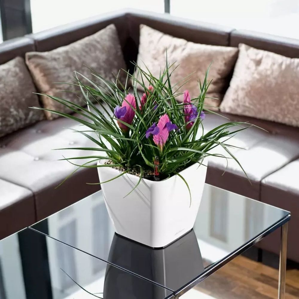 Ghiveci Auto-Irigant Lechuza Quadro Premium 21 LS, 4 l, Alb lucios, sistem de autoirigare, insert detasabil, strat de drenaj