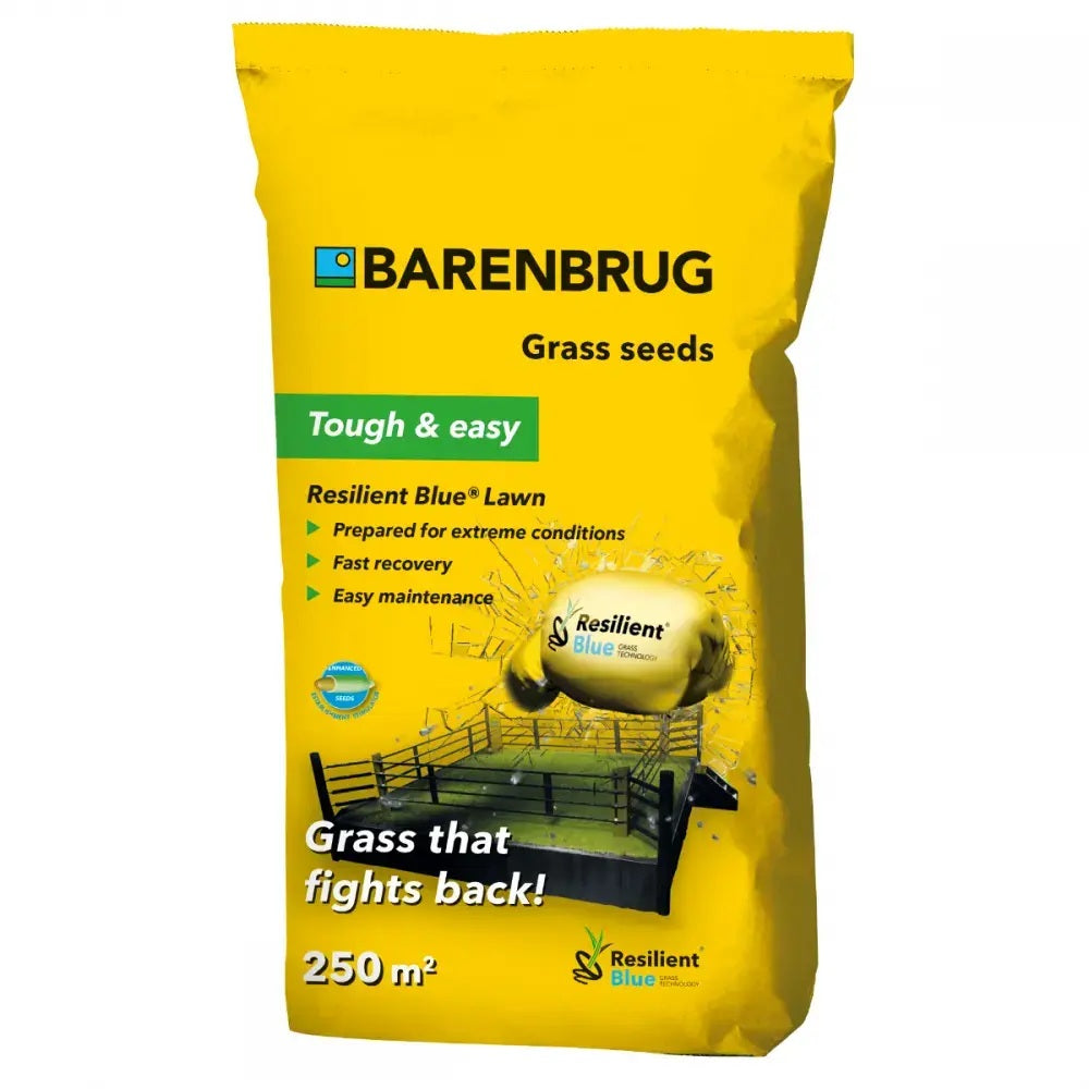 Seminte gazon Resilient Blue Lawn Barenbrug 5 kg, gazon rezistent la seceta, boli si trafic intens, regenerare rapida, pentru 250 mp