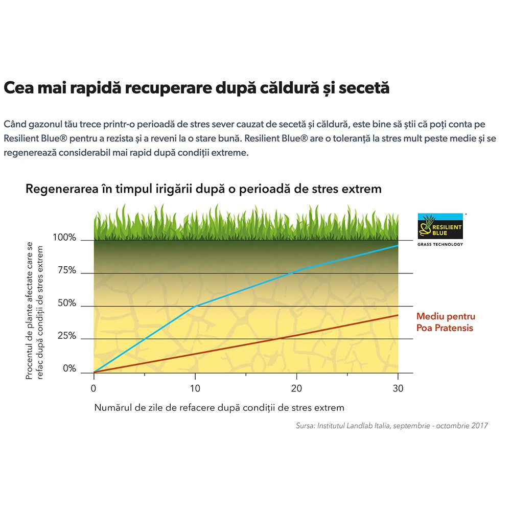 Seminte gazon Resilient Blue Lawn Barenbrug 5 kg, gazon rezistent la seceta, boli si trafic intens, regenerare rapida, pentru 250 mp