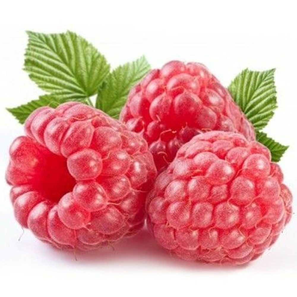 Zmeura remontanta Autumn First timpurie si productiva cu fructificare vara-toamna, an 1 pe rod