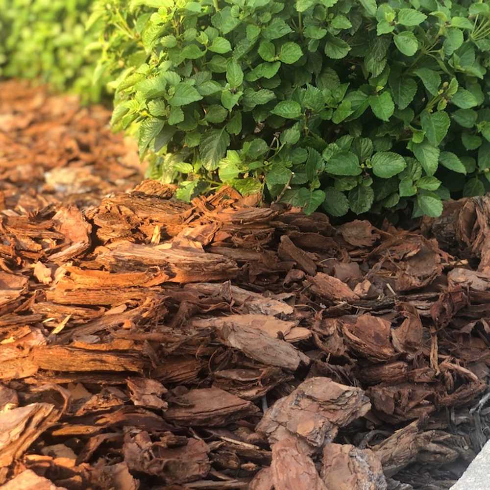 Scoarta Decorativa de Pin 30-60 mm, sac de 80 litri