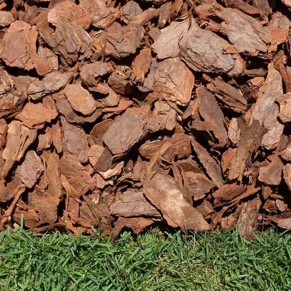 Scoarta Decorativa de Pin 30-60 mm, sac de 80 litri