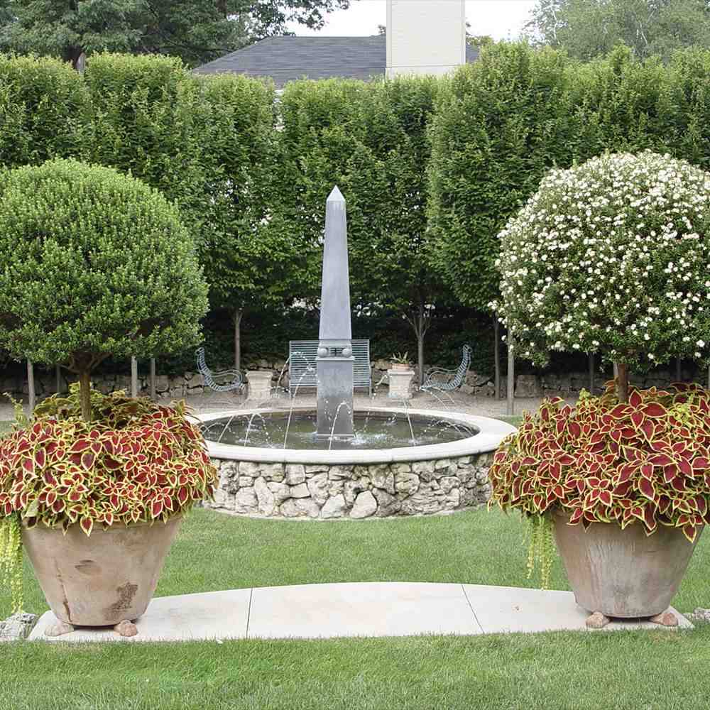 Mirt Copacel (Myrtus Communis), pomisor vesnic verde, mediteranean, cu frunze parfumate si flori albe