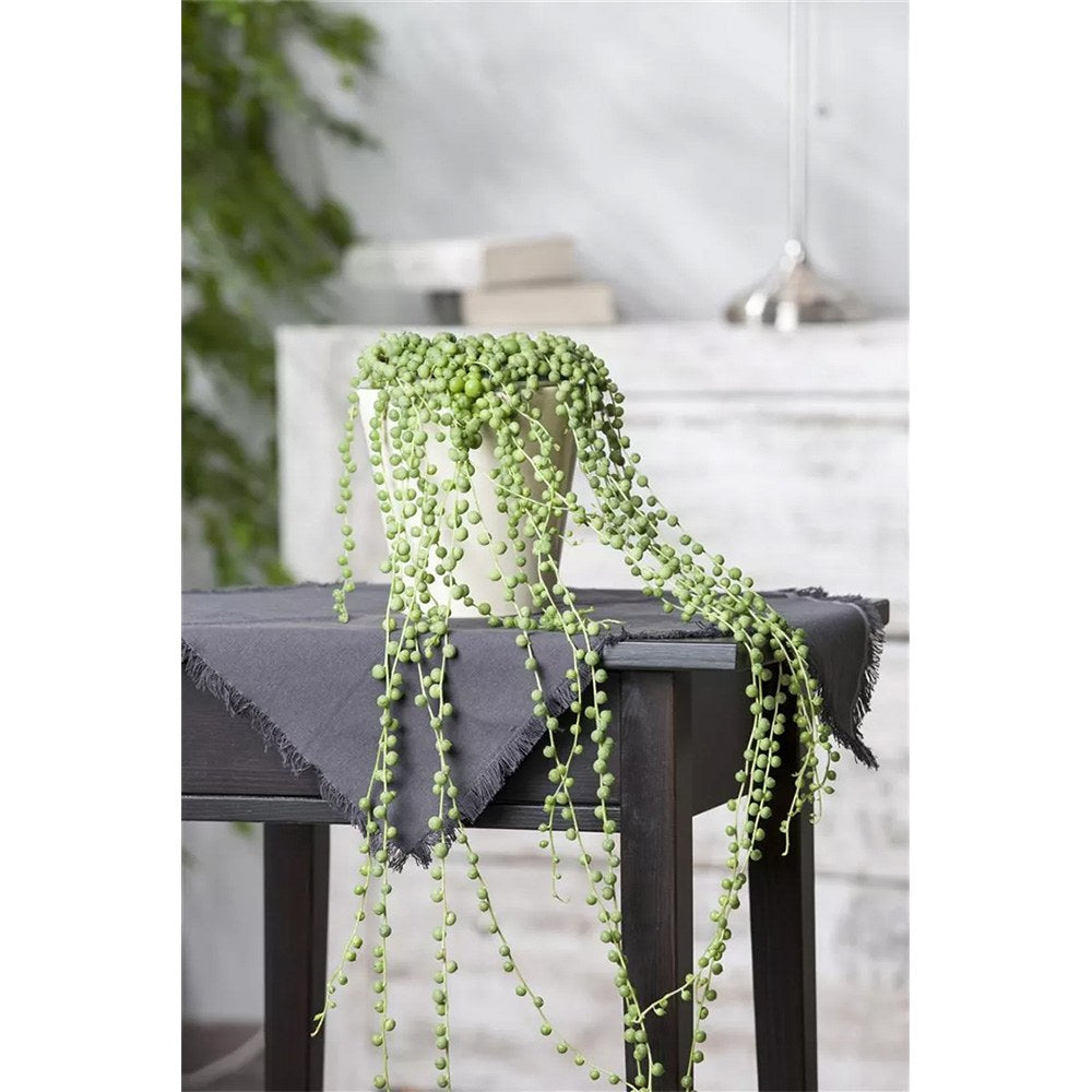 Sirag de perle Senecio Rowleyanus, planta suculenta curgatoare, planta interior suspendata decorativa - 20 cm