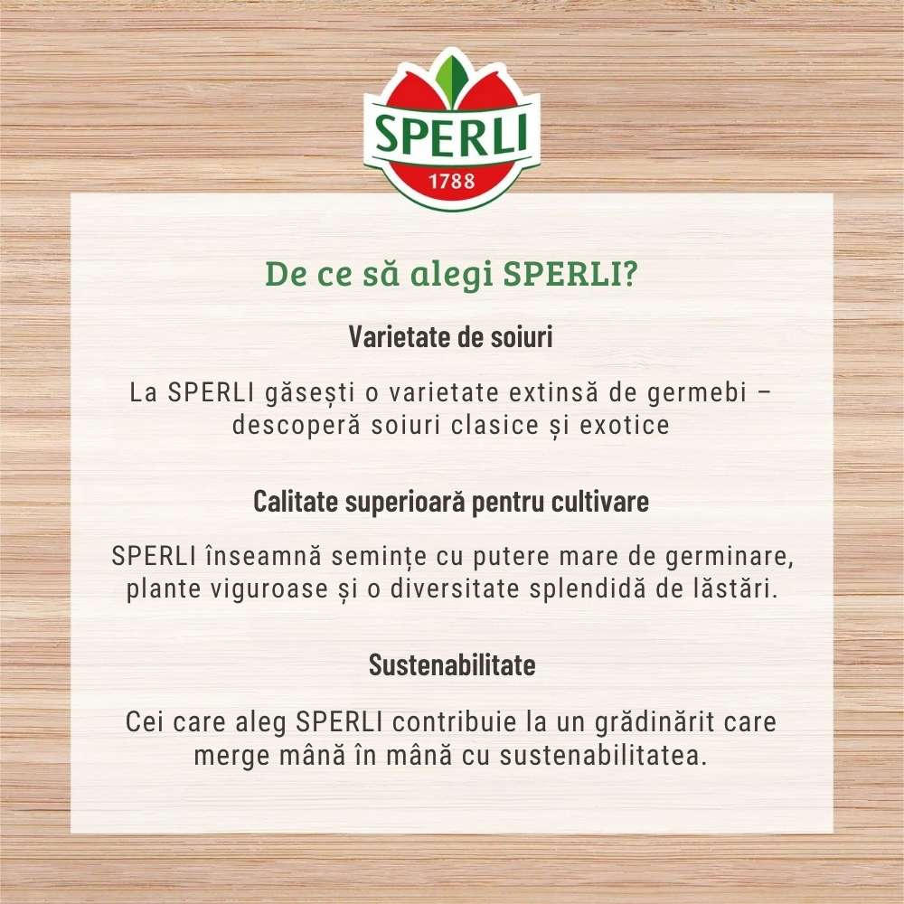 BIO mix iute de lastari – gust intens si picant, 30 g, cu protectie germinatie