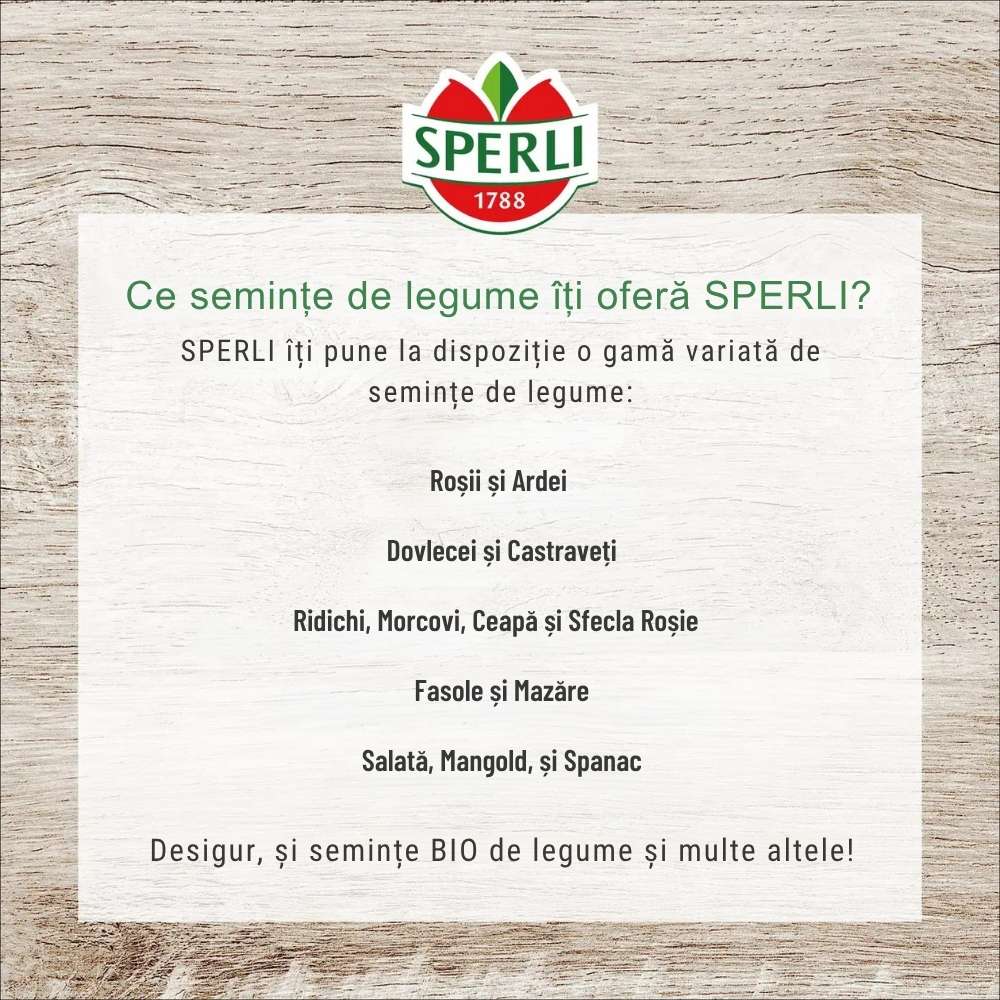 Seminte rosii Marmande – soi vechi cu gust autentic, ajung la 250-500 g