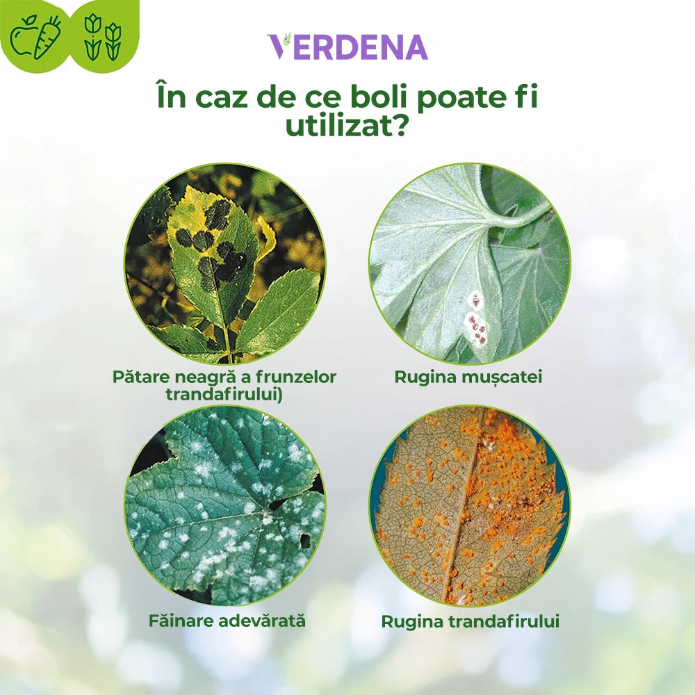 Spray Fungicid Organic Contra Bolilor Fungice Universal, 500 ml, PROTECT GARDEN