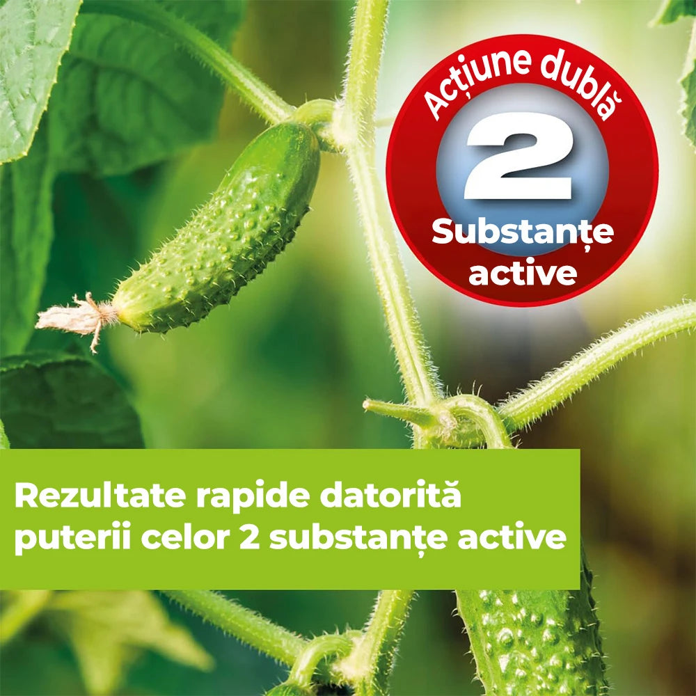 Spray Fungicid Organic Contra Bolilor Fungice Universal, 500 ml, PROTECT GARDEN